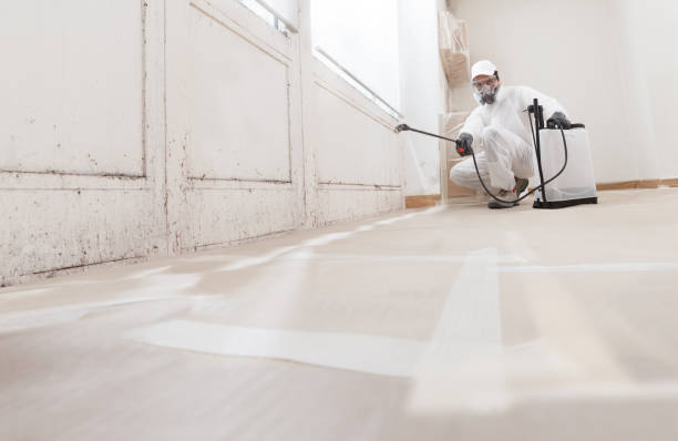 24/7 Emergency Basement Mold Remediation experts in Norwood, NC