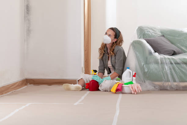 Trusted Basement Mold Remediation service in Norwood, NC - Cheap Mold Removal